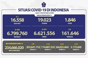 Kasus Baru Harian COVID-19 di Indonesia: 1.024