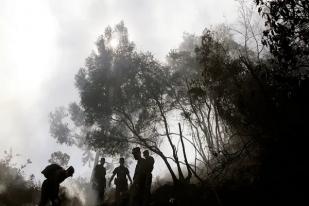 Tiga Bocah dan Bayi Selamat dari Kecelakaan Pesawat di Hutan Kolombia Setelah Dua Pekan 