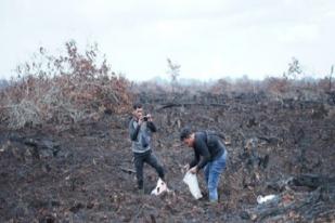 Polisi Tangkap Empat Pelaku Pembakaran Ladang di Dumai, Riau