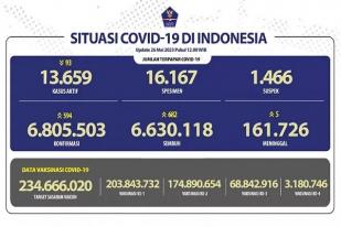 Kasus Baru Harian COVID-19 di Indonesia: 594
