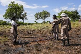 Sudan Selatan Berjuang Bersihkan Ranjau Darat Setelah Perang Saudara