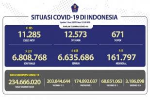 Kasus Baru Harian COVID-19 di Indonesia: 231
