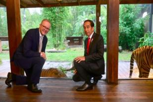 Jokowi dan Albanese Kunjungi Sumatran Village di Taronga Zoo