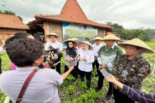 BMKG: Perubahan Iklim Ancaman Nyata pada Krisis Pangan