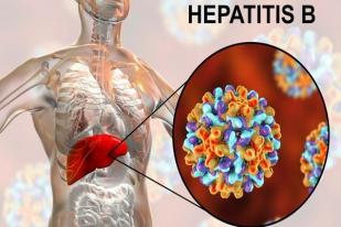 18 Juta Penderita Hepatitis B, Banyak Ditularkan dari Ibu ke Anak