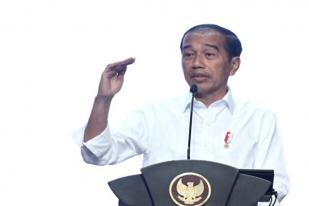 Presiden Minta Intervensi Segera Perbaiki Kualitas Udara Jabodetabek