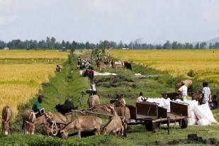 IMF: Perubahan Iklim Diprediksi Memperburuk Konflik dan Ekonomi