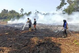 Polisi Riau Tangkap 34 Tersangka Pelaku Kebakaran Hutan dan Lahan