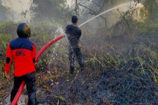 Asap Kebakaran Menyebar, Kota Banjarmasih Berlakukan Belajar dari Rumah