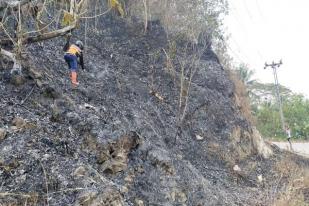 Tim BPBD Padamkan Kebakaran Lahan di Cilacap, Jawa Tengah