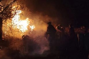 Kebakaran Melanda Hutan Konservasi di Gunung Papandayan, Garut