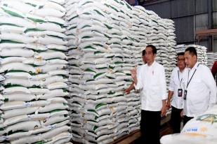 Jokowi Meskipun Produksi Beras Surplus, Tetap Perlu Ada Cadangan