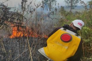 Kebakaran Melanda Hutan di Kaki Gunung Rinjani, Lombok