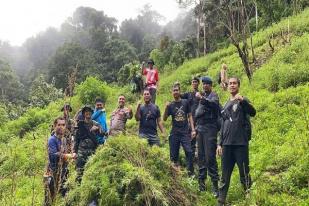 Tim Gabungan Temukan Satu Hektare Ladang Ganja di Mandailing Natal