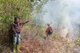 Tim Masih Berupaya Padamkan Kebakaran di Gunung Panderman, Jawa Timur