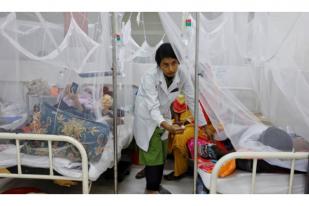 Bangladesh Hadapi Wabah Demam Berdarah, 1.606 Meninggal