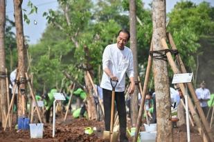 Atasi Pemanasan Global, Presiden Lakukan Gerakan Tanam Pohon