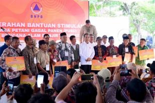 Presiden Salurkan Bantuan bagi Petani Yang Mengalami Puso