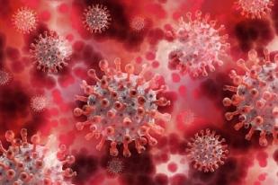 Kemenkes: Ditemukan Virus COVID-19 varian JN.1 di Jakarta dan Batam