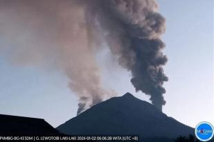 Aktivitas Vulkani Gunung Lewotobi di NTT Meningkat, 2.200 Warga Dievakuasi