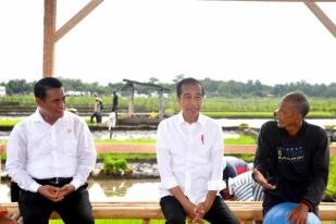 Presiden Tinjau Penanaman Padi dan Berdialog dengan Petani Banyumas