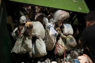 Polisi Semarang Tahan Lima Orang Bawa 226 Anjing ke Solo