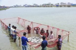 Jepang Bantu Pindahkan Pengungsi Rohingya ke Pulau di Bangladesh dan Beri Latihan Kerja