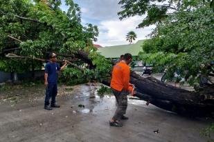 Banjir Melanda Kabupaten Sidenreng Rappang, Sulawesi Selatan