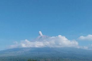 Gunung Semeru Meletus. Abu Letusan Hingga Setinggi 900 Meter