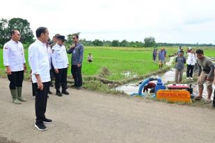 Presiden Tinjau Proyek Pompanisasi di Bantaeng, Sulawesi Selatan