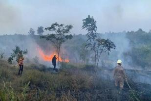 Lahan Delapan Hektare di Kabupaten Bintan, Kepulauan Riau, Terbakar