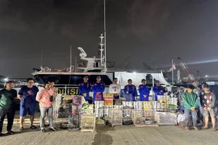 Polisi Gagalkan Penyelundupan Ribuan Satwa Dilindungi di Perairan Sunda Kelapa