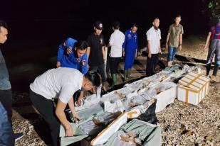 Polri Gagalkan Penyelundupan 84 Ribu Benih Lobster di Banten