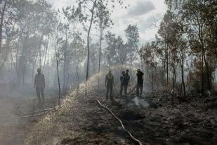 BNPB Prioritaskan Pengendalian Karhutlan di Lima Provinsi