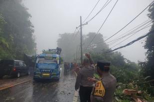 Jalan Medan-Brastagi, Sumatera Utara Sempat Terhambat Akibat Pohon Tumbang