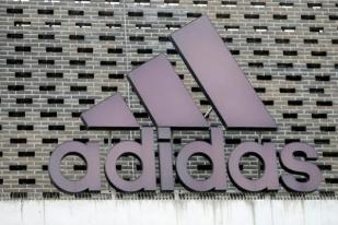 Sepatu Berbahan Kulit Babi, Turki Mendenda Adidas US$15.000 