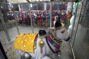 Umat Hindu India Rayakan Festival Shivaratri, Menghormati Dewa Siwa