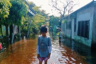 Sungai Siak Meluap, 14.200 Jiwa Terdampak Banjir di Pekanbaru 