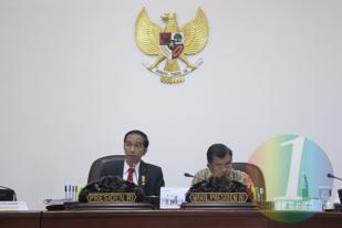 Presiden Jokowi Rumuskan 3 Langkah Antisipasi Virus Zika