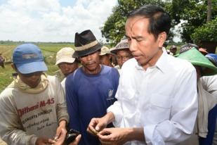 Kunker Jokowi ke NTB Terkait Revitalisasi Pasar Tradisional
