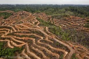ELSAM: Implementasi Kebijakan Agraria Era SBY Salah