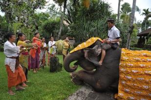 Ruwatan Binatang di Bali Zoo