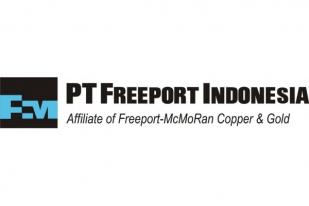 Tiga Ratusan Karyawan Freeport Sudah Dirumahkan