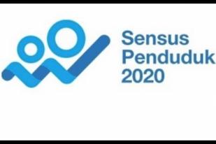 Sensus Penduduk Daring Dilakukan Mandiri oleh Masyarakat