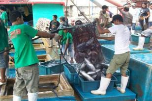 Nelayan Tradisional Dorong  Hilirisasi Perikanan 