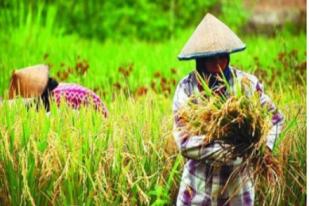 Lagi-lagi, Penghargaan untuk Indonesia Belum Sesuai Kenyataan 