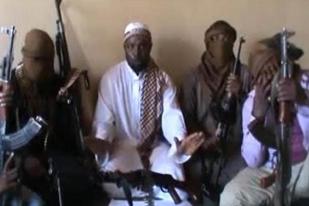 Ular dan Lebah “Usir” Boko Haram