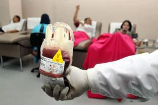 PMI Bali Jamin Keamanan Darah dengan "NAT-ELISA"
