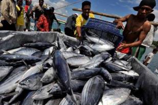 KNTI: 30 Persen Pencurian Ikan Dunia Terjadi di Indonesia