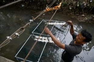 Pemprov DKI Pasang Penjaring Sampah di Saluran Air